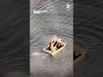 Jewelry thieves attempt to flee in sinking rowboat