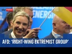 AfD party classified 'extremist entity' by Germany's domestic intelligence agency