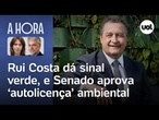 Rui Costa dá sinal verde, e Senado aprova ‘autolicença’ ambiental | A Hora