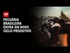 Conexão Agro: Pecuária brasileira entra em novo ciclo produtivo | LIVE CNN