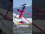 WATCH: Whale sinks boat after July 4 celebrations #foxnews #news #shorts #animals #ocean