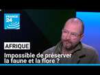 Préserver la splendeur de la faune et la flore africaine : une mission impossible ? • FRANCE 24