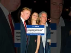 White House in 'full-bore panic mode' over Epstein files