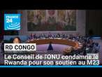 RD Congo : le Conseil de l'ONU condamne le Rwanda pour son soutien au M23 • FRANCE 24