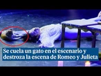 Se cuela un gato en el escenario y destroza la escena final de Romeo y Julieta