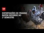 Exportações brasileiras de frango batem recorde no primeiro semestre | CNN AGRO NEWS