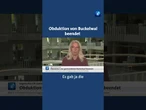 Was mit dem toten Buckelwal nach der Obduktion passiert #tagesschau #nachrichten #news #wal