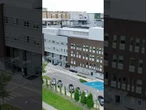 Sygnaliści na celowniku władzy! Przerażające kulisy niszczenia ludzi