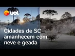 Frio em SC: Cidades têm temperaturas negativas, geada e neve; veja vídeos
