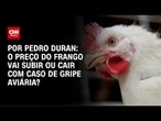 Gripe aviária: o preço do frango vai subir ou cair? | AGORA CNN