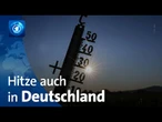 Hitzewelle in Deutschland: Ein Experte spricht über die Auswirkungen