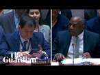 'Shame on Putin': David Lammy condemns Russia's UN veto on Sudan ceasefire resolution