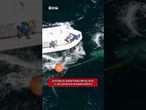 Australia, megattera impigliata: il salvataggio in mare aperto