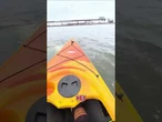 ‘WHALE OF A TALE’: Tourist captures moment two beluga whales swim around her kayak #shorts #news