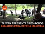 Taiwan apresenta cães-robôs armados para defesa marítima