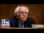Tomi Lahren: Glad Bernie Sanders recognizes Left's obsession with identity politics is 'not helpful'