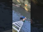Ato de coragem: Resgate de cachorro em córrego de parque em SP comove internautas