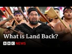 What you need to know about the Land Back movement in New Zealand | BBC News