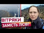ВИРУБАТИ КАРПАТИ ЗАРАДИ ВІТРЯКІВ? Цей СКАНДАЛ ПІДІРВАВ МЕРЕЖУ! Послухайте, ЩО ВІДОМО@DWUkrainian