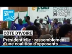 Présidentielle en Côte d'Ivoire : premier rassemblement fin mai d'une coalition d'opposants