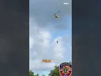 TENNESSEE: Ausgebüxtes Zebra! Hier wird Ed mit einem Helikopter abtransportiert! #welt #shorts