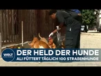 HELD DER HUNDE: "Straßenköter unerwünscht!" Wie ein Mann in Somalia Leben rettet