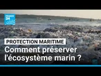 Conférérence des NU sur l'océan: comment préserver l'écosystème marin ? • FRANCE 24