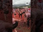 Festival com "guerra de tomate" volta a ser realizado na Colômbia