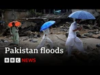 More than 330 dead in Pakistan floods | BBC News