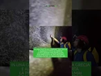 In una grotta è stata scopertala più grande ragnatela mai documentata