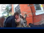 ‘Hi, buddy’: Police capture escaped kangaroo