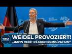 AFD PARTEITAG IN RIESA: 