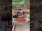 Cavalo invade supermercado e assusta clientes em Recife
