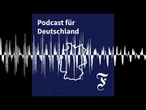 Palantir für die die Polizei: „Wunderwaffe" oder totale Überwachung?