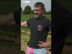Soil turning to dust amid rainfall shortage
