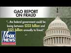 Democrats acknowledge this stunning amount of government fraud per year