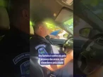 Arara 'pega carona' no braço de guarda municipal Ilha Solteira (SP); veja o vídeo