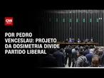Projeto da dosimetria divide Partido Liberal | CNN 360º