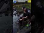 Cops RESCUE pregnant woman from drowning