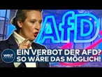 VERFASSUNGSSCHUTZ: Verbot der AfD? So wäre das möglich! Weidel und Chrupalla kündigen Widerstand an
