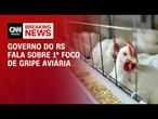 Gripe aviária: Governo do RS fala sobre o primeiro foco da doença no Brasil | LIVE CNN