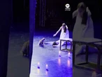 Ro-meow and Juliet: cat steals the show during ballet performance #news #cats #animals #ballet