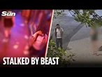 Chilling moment predator asylum seeker follows woman out of nightclub before terrifying attack