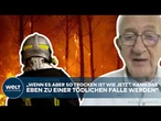 WALDBRÄNDE IN EUROPA: Experte erklärt! Das sind die Ursachen der zunehmenden Waldbrandgefahr