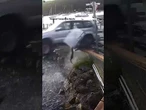 WATCH: Drunk driver launches car off a ferry dock and plunges into the water #shorts #viral #us #usa