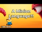 Minionese? A Minion LANGUAGE?! What’s Going On?