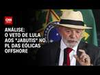 Análise: O veto de Lula aos "jabutis" no PL das eólicas offshore | WW