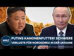 UKRAINE: Putins Kanonenfutter! Selenskyj verkündet schwere Verluste für nordkoreanische Soldaten