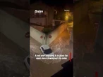 Torrential rain batters Spain triggering terrifying flash floods