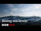 Sea levels rose more than expected in 2024 | BBC News